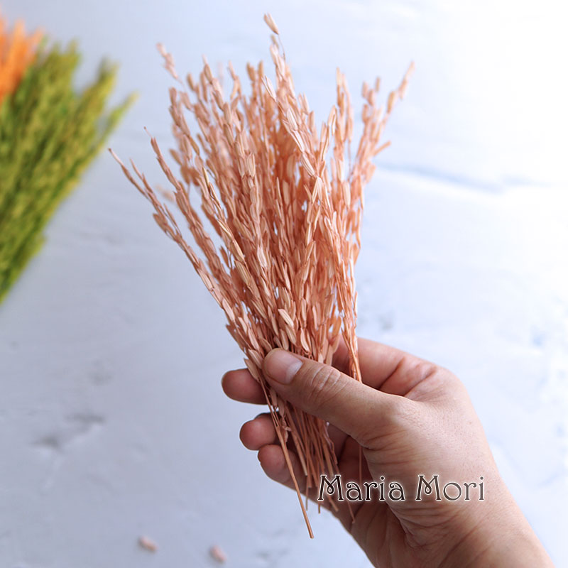 Dried Flower Bulk - 5g/Broomcorn teñido flores naturales secas blanqueadas