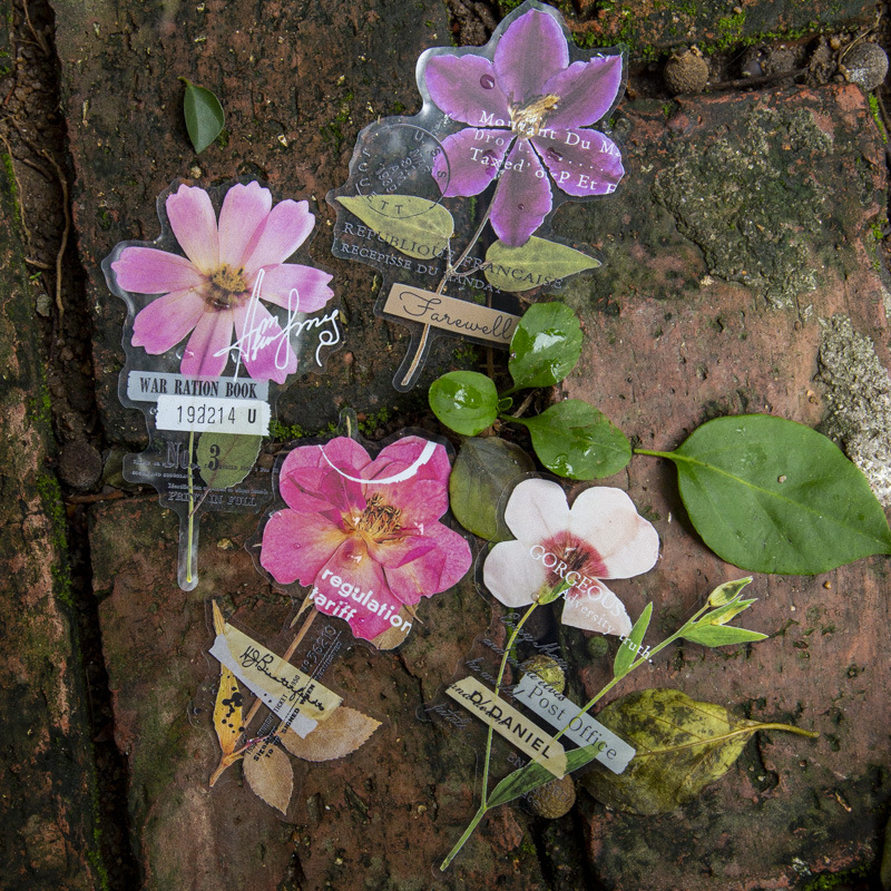Paquete de 10 Pegatinas de la  - Dried Flower Bulk reseña y precio
