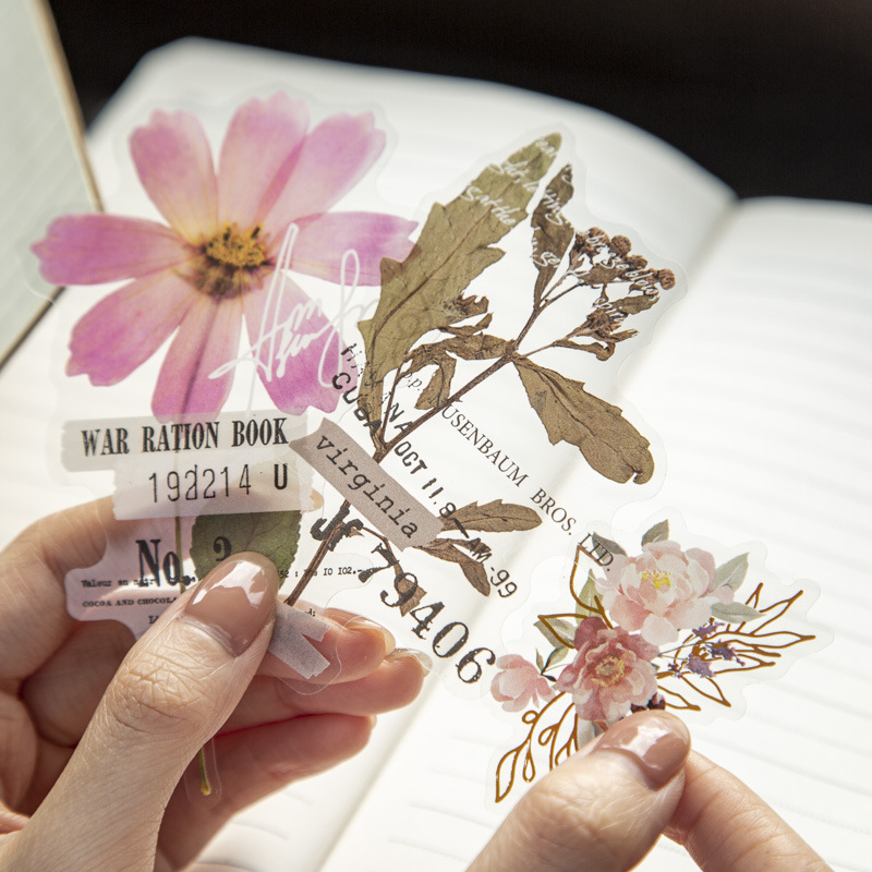 Paquete de 10 Pegatinas de la  - Dried Flower Bulk reseña y precio