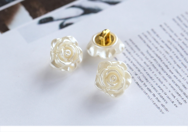 20 unids/lote tamaño: 12mm mod - Dried Flower Bulk reseña y precio