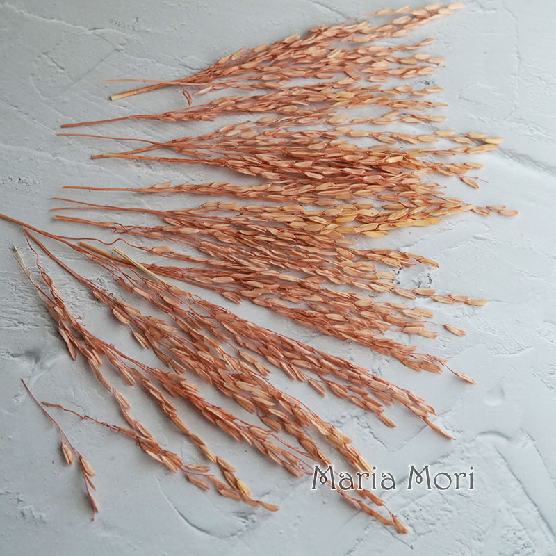 5g/Broomcorn teñido flores nat - Dried Flower Bulk reseña y precio