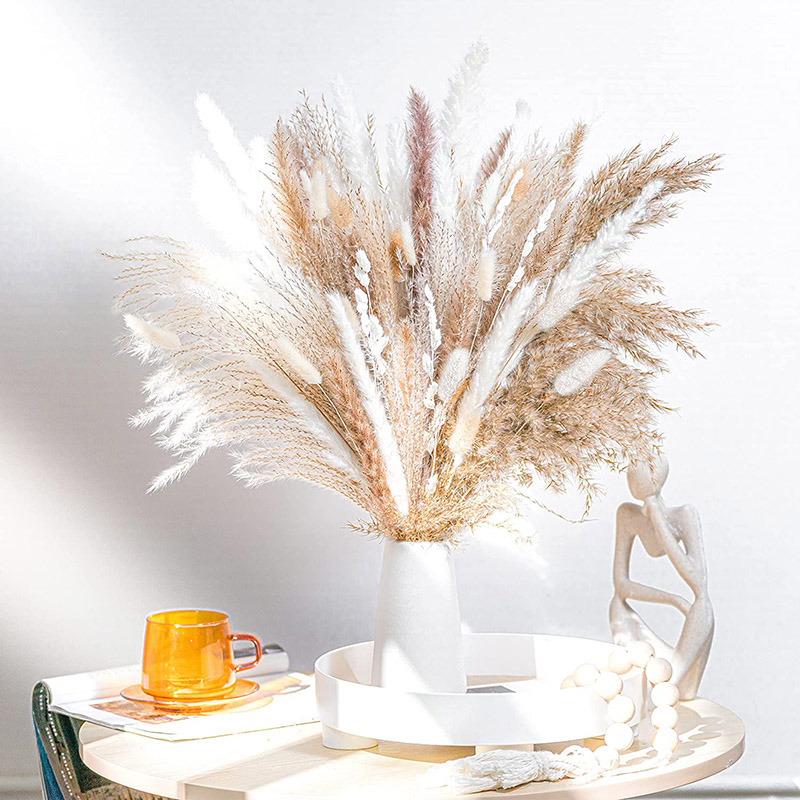 Ramo de hierba de Pampas secas - Dried Flower Bulk reseña y precio